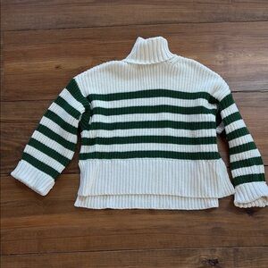 Madewell Cozy Green and Cream Turtleneck Sweater